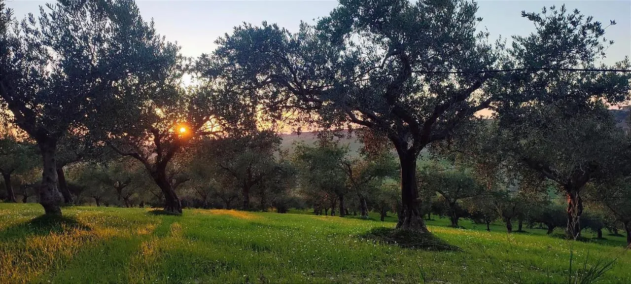 Casa Vacanze Bordea Grande Sciacca Italy